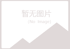 鹤岗兴山映之冶炼有限公司